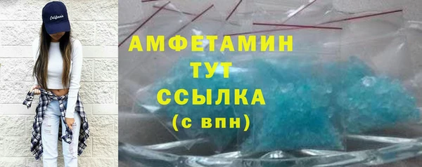 меф Ельня
