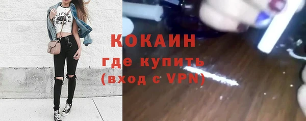ECSTASY Елизово
