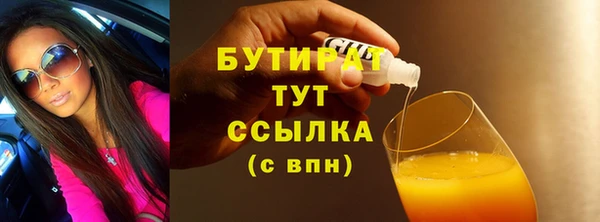 меф Ельня