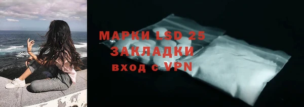 ECSTASY Елизово