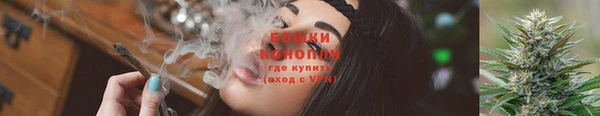 ECSTASY Елизово