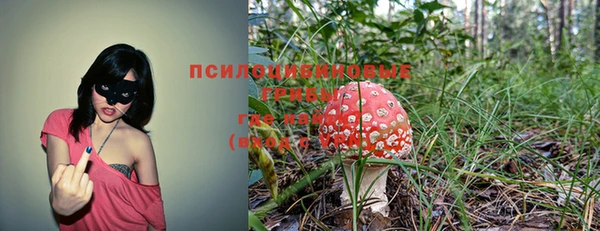 jwh Елабуга