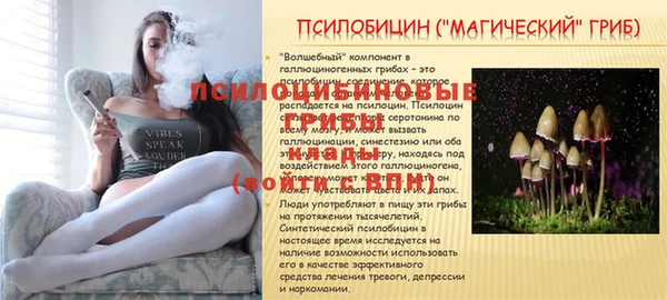 jwh Елабуга