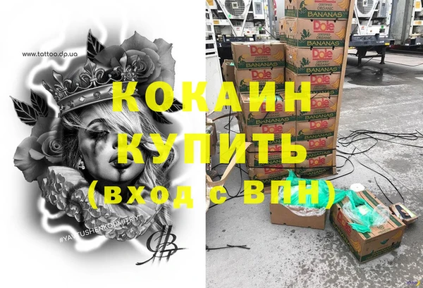 ECSTASY Елизово