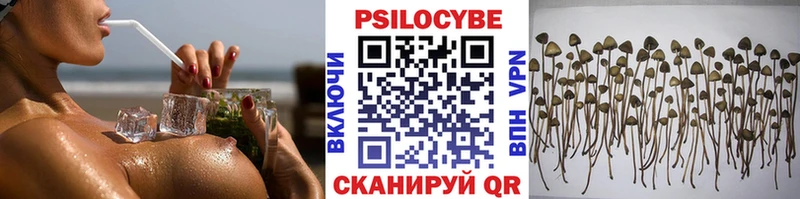 Псилоцибиновые грибы мухоморы  Купить  Кольчугино 